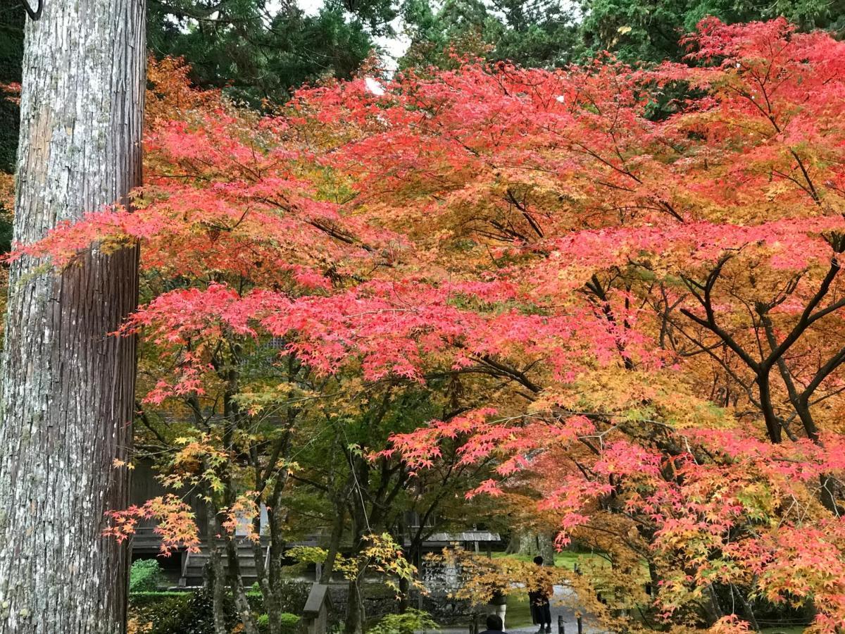 Ohara Sensui Surrounded By Beautiful Nature Villa Kyōto Esterno foto