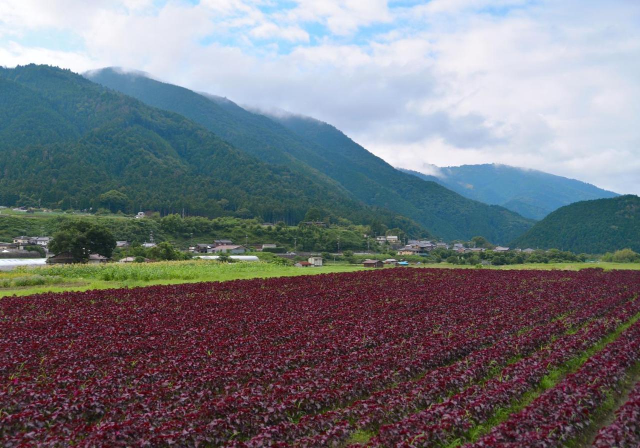 Ohara Sensui Surrounded By Beautiful Nature Villa Kyōto Esterno foto